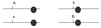 Using the diploid cell shown here (at interphase), illustrate/describe Mendel's principles of segregation and independent assortment.  