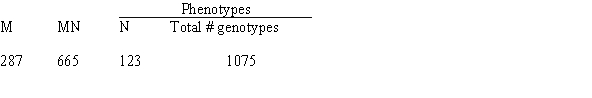 You are studying cannibals in Borneo and want to determine if a specific village population is in Hardy-Weinberg equilibrium with respect to the two co-dominant M and N blood type alleles (L<sup>M</sup>, L<sup>N</sup>) segregating at the single-gene locus. The following are sample data from this population of the cannibals: a. Calculate the genotypic frequencies. b. Calculate frequencies for the L<sup>M</sup> and L<sup>N</sup> alleles. c. Determine whether this population of Borneo cannibals is in Hardy-Weinberg equilibrium.