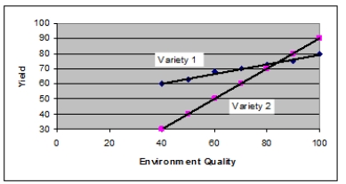 The graph below shows how yield in two varieties of corn respond to different environmental conditions.   Which of the following statements is TRUE? A)  Under tested conditions, variety 1 has a higher yield than variety 2. B)  Under tested conditions, variety 2 has a higher yield than variety 1. C)  Under tested conditions, variety 2 is more sensitive to environment quality than variety 1. D)  Variety 1 is genetically superior to variety 2. E)  Variety 2 is genetically superior to variety 1.