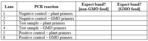You are attempting to determine whether a plant-derived processed food sample (for example, a corn chip) contains material from a genetically modified organism (GMO). First, you crush the sample and attempt to extract DNA from it. Next, you perform PCR using two different sets of primers. One primer set will amplify a DNA sequence present in all plants. The second primer set will amplify a DNA sequence only found in GMO plants. a. Why must you use both sets of primers for this experiment? b. In addition to the test sample, you obtain a negative control sample (food material you are certain does not contain GMO material) and a positive control sample (food material you are certain does contain GMO material). You perform the DNA extraction on these three samples and then the PCR reactions with each of the two primer sets described above. Complete the following table with your expectations for this PCR reaction.   c. You obtain the results shown in the panel below. What conclusions can you draw from these reaction results? Does this test sample contain genetically modified components? Why or why not?  <div style=padding-top: 35px> 