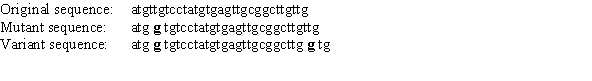 You are working on an insulin-binding protein from fish. The beginning of the coding sequence of the gene is shown below. You find a mutant in the gene that cannot bind insulin (also shown below-the mutation is set in boldface type). Among a population of fish having the gene for the mutant protein, you find one that produces a variant of this protein that can now bind insulin again (DNA sequence also shown below). What kind of mutation is this new variant? (Use a genetic rather than a biochemical classification.)