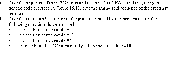 The following sequence represents the DNA template strand of a gene: