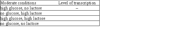 Fill in the blanks in the level of transcription column of this table with (+) for high levels of transcription, (+/-) for Moderate levels of transcription, and (-) for minimal levels of transcription of the lac operon. Consider regulation by both the lac repressor and CAP (catabolite activator protein). The strain is wild type with no partial diploidy. The first line is filled in for reference.