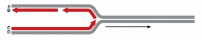 In the diagram below, which letter indicates the 5'end of the leading strand?   A)  A B)  B C)  C D)  D E)  C and D