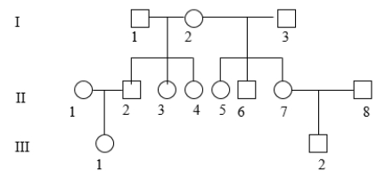 Assuming there are no heteroplasmic individuals but that people from different families have different DNA, how many different mitochondrial DNAs are there in the pedigree below?    A)  2 B)  4 C)  5 D)  6 E)  7