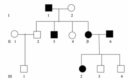 Based on the pedigree below, which of the following statements correctly interpreted the pedigree with respect to X-linked dominant, X-linked recessive, Y-linked, mitochondrial, autosomal recessive, and autosomal dominant inheritance? (Select all that apply.)    A)  The phenotype presented is X-linked dominant because II-3 has the same phenotype as I-1. B)  The phenotype presented is X-linked recessive because III-3 and III-4 do not have the same phenotype as II-5. C)  The phenotype cannot be Y-linked because II-2 doesn't have the same phenotype as I-1. D)  The phenotype could be autosomal recessive as III-3 and III-4 don't have the same phenotype as II-5. E)  The phenotype could be autosomal dominant if II-5 and II-6 are heterozygotes, and III-3 and III-4 are homozygous recessive.