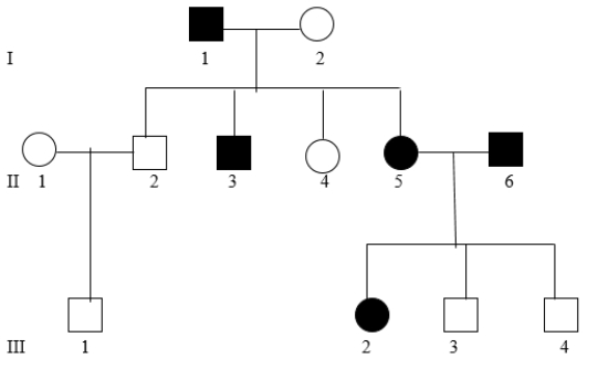 Using the pedigree below, explain whether each of the following inheritance patterns is possible for the phenotype being followed citing specific individuals in your answer: X-linked dominant, X-linked recessive, Y-linked, mitochondrial, autosomal recessive, and autosomal dominant.  