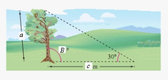 Because of prevailing winds, a tree grew so that it was leaning 6° from the vertical.At a point 43 meters from the tree, the angle of elevation to the top of the tree is 30° (see figure) .Find the height a of the tree.     c = 43 m B = 96°  (Round your answer to two decimal places.)   A) 24.58 m B) 26.58 m C) 25.58 m D) 28.58 m E) 27.58 m