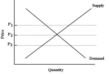  FIGURE 3-5 Refer to Figure 3-5.A price at which there would be a surplus in this market is A) P<sub>1</sub>. B) P<sub>2</sub>. C) P<sub>3</sub>. D) both P<sub>1</sub> and P<sub>2</sub>. E) both P<sub>1</sub> and P<sub>3</sub>.