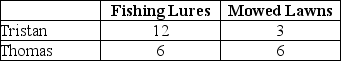<strong>The table below illustrates that,in one day,Tristan can produce either 12 fishing lures or mow 3 lawns,while Thomas can produce either 6 fishing lures or mow 6 lawns. TABLE 1-1 Refer to Table 1-1.If Tristan and Thomas want to maximize their joint output from one day of work,how should they specialize their production?</strong> A)Tristan produces 3 mowed lawns; Thomas produces 6 mowed lawns B)Tristan produces 6 lures; Thomas produces 6 lures C)Tristan produces 6 lures and 3 mowed lawns D)Tristan produces 12 lures; Thomas produces 6 mowed lawns E)Tristan produces nothing,Thomas produces 6 lures and 6 mowed lawns