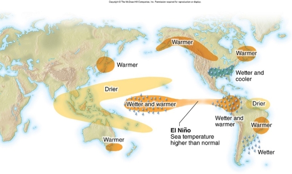 Scientists cannot predict when an El Niño will begin.But once it does, forecasters are able to predict changes to weather patterns.What would be a predicted weather effect of an El Niño?   A) Drier and warmer in the southeastern U.S. B) Colder than normal across the northeastern United States. C) More rain in Peru and Ecuador. D) More rain in Indonesia and the Phillipines.