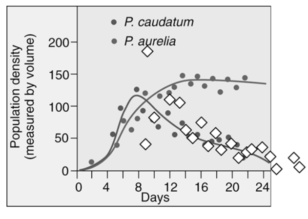Which statement correctly interprets the graph?   A) Paramecium caudatum drives Paramecium aurelia to near extinction. B) Paramecium aurelia drives Paramecium caudatum to near extinction. C) Paramecium caudatum and Paramecium aurelia are able to compete for the same resource and their population densities are not affected. D) Paramecium caudatum and Paramecium aurelia are unable to exist and both populations go extinct after 24 days.