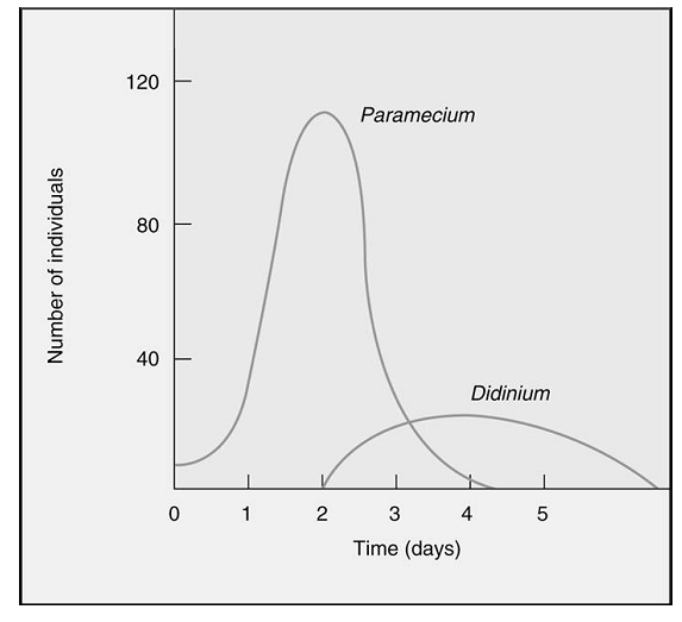 Based on the following graph, what is the most likely relationship between Paramecium and Didinium?   A) Paramecium prey on Didinium. B) Paramecium have a commensal relationship with Didinium. C) Didinium and Paramecium have a mutualistic relationship. D) Didinium prey on Paramecium.