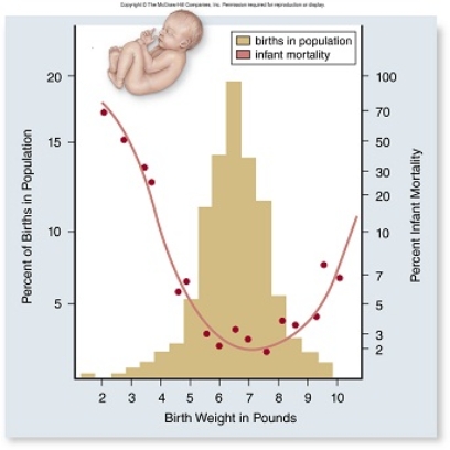   In the graph above, how can the change in infant mortality be explained as birth weight increases from 2 to 7 pounds? A) A larger baby will have more developed organs and thus have greater fitness. B) A baby closer to 7 pounds will have more developed organs and thus have lower mortality. C) A baby closer to 2 pounds will not be able to be delivered safely and thus have lower mortality. D) A baby closer to 7 pounds will have more developed organs and thus have higher motality.