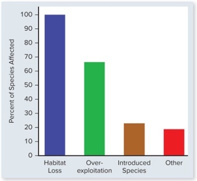 While reading an online science magazine,you come across an article on declining turtle populations across the globe.Based on the graph,what would you guess are the two biggest factors in the decline? Choose two.    A) Harvesting of turtles for food,pets,or medicine B) Competition with invasive species C) Destruction of wetlands and breeding beaches D) Developmental problems due to rising temperatures E) Disease from introduced parasites