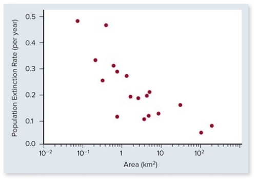 The following graph shows the relationship between extinction and habitat area.Which statements help explain the trend shown on the graph? Check all that apply.    A) Larger patches are more likely to be encountered by new immigrants. B) Larger patches are likely to have a more uniform habitat. C) Larger patch size reduces genetic drift. D) Larger patches are more geographically isolated than smaller patches. E) Species richness is higher on larger patches.