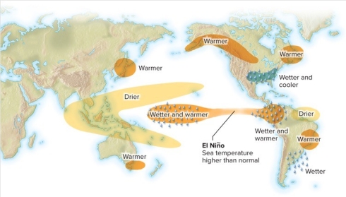 Scientists cannot predict when an El Niño will begin.But once it does,forecasters are able to predict changes to weather patterns.What would be a predicted weather effect of an El Niño?   A) Drier and warmer in the southeastern United States B) Colder than normal across the northeastern United States C) More rain in Peru and Ecuador D) More rain in Indonesia and the Philippines