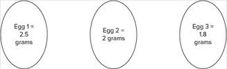 Three (3) eggs are boiled and all weigh 2g.The eggs are placed in a 15% solution of NaCl and reweighed after 30 minutes.    McGraw-Hill Education -The solution in the container is hypertonic to which egg? A) Egg 1 B) Egg 2 C) Egg 3