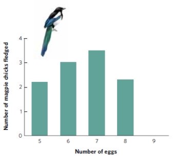 According to the figure, what are the implications of producing five versus eight eggs? Which option should be favored by natural selection?  