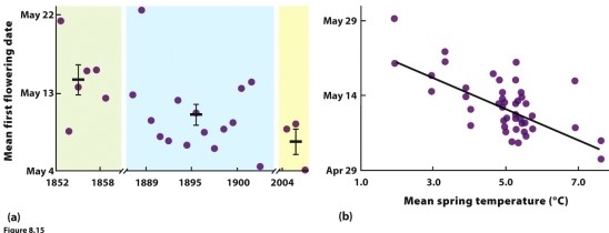The data in the figure show a relationship between the mean flowering date for many plant species around Concord, New Hampshire, and the mean spring temperature over a time span exceeding 150 years. However, there is a lot of scatter around the best-fit line in panel b. What information in the chapter might suggest the source of this scatter, and what does it imply about the plant species' cues for flowering?  