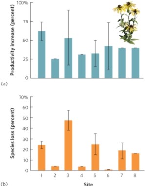   (Figure 21.8) The figure shows results of nitrogen addition in eight sites around the United States. What do these results tell us about limiting resources at the sites? What did researchers conclude about declines in species richness?