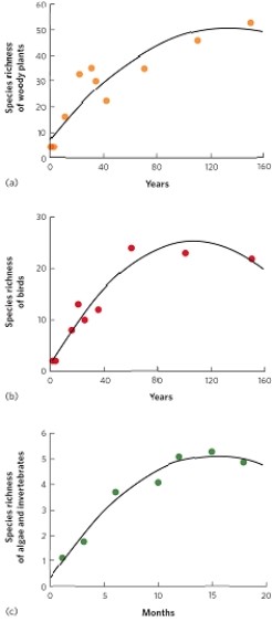   (Figure 19.11)  These graphs show that succession is associated with a rapid increase in species richness that slows and levels off over time. How might you explain a graph showing succession with an initial increase in species richness followed by a decline in species richness over time? A)  a disturbance such as fire B)  facilitation C)  inhibition D)  tolerance