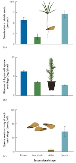   (Figure 19.15) Researchers in Glacier Bay, Alaska, planted Sitka spruce seeds (Picea sitchensis) in four seral stages recovering from deglaciation: pioneer stage (dominated by lichens, mosses, and herbs), low-shrub stage (dominated by Dryas drummondii), alder stage (dominated by Alnus sinuate shrubs), and spruce stage (dominated by P. sitchensis). The researchers originally hypothesized that each seral state facilitates species in the subsequent stage. Do the data shown in the figure support their hypothesis? If so, explain. If not, what would explain the results? What type of successions is this area undergoing?