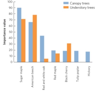   (Figure 19.16) This figure shows the importance of different tree species in the canopy and understory of a forest. Why did the researchers who conducted this study suggest that the future canopy will have fewer oaks and hickories?