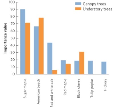   (Figure 19.16) Researchers studying deciduous forests in Pennsylvania found that browsing by deer in mature climax forests caused changes in the understory. The figure shows the importance values for the trees in the canopy and the understory. What do these results suggest about the stability of the current climax community?