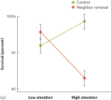   The graph suggests that A)  plant survival rate is not affected by elevation. B)  plant survival rate is not affected by the presence or absence of a neighboring species. C)  plant survival is dependent on the presence of a neighboring species. D)  plant survival is independent of the presence of a neighboring species.