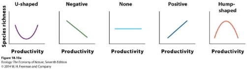   What species richness-productivity relationship has the Park Grass Experiment in England demonstrated over the past 150 years? A)  U-shaped B)  negative C)  none D)  positive E)  hump-shaped