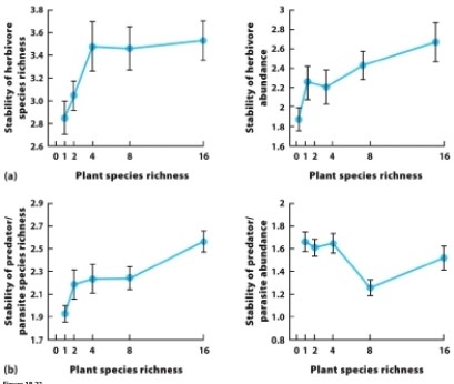   Which response variable (on the y axis)  did NOT increase with plant species richness? A)  stability of herbivore species richness B)  stability of herbivore abundance C)  stability of predator and parasite species richness D)  stability of predator and parasite abundance