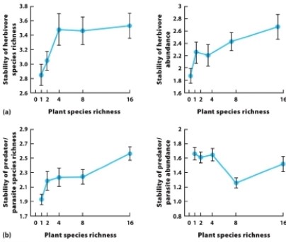   What do the data in the graphs suggest about the resistance of the community to disturbance? A)  Communities with any amount of plants are very resistant to disturbance. B)  Community resistance depends on whether herbivores, predators, and parasites are present. C)  Herbivore species richness and abundance both increase with small changes in plant species richness. D)  The stability of herbivore species richness and abundance responds independently of plant species richness.