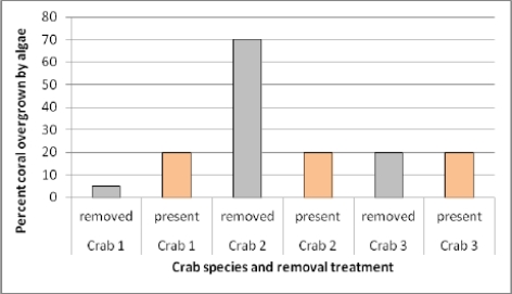A group of biologists are studying an interaction between coral and three species of crab (crab 1, crab 2, and crab 3). They discover that all three species of crab benefit from the coral by feeding on lipid-rich coral mucus. They conduct an experiment in which they remove each species of crab from the coral and then measure the extent to which the coral were overgrown by noxious algae. Based on the data in the figure, explain whether or not each of the three crab species is a mutualist with coral.  