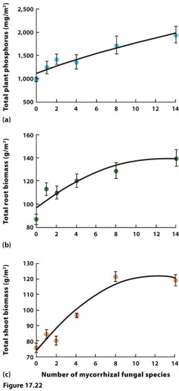   (Figure 17.22)  Researchers manipulated the number of species of mycorrhizal fungi living in the soil and measured the effects on plant biomass and phosphorus uptake. Their results are shown in the figure. Based on their results, the most likely way the extinction of mycorrhizal fungi species would affect the ecosystem is to A)  reduce plant growth. B)  increase plant growth. C)  reduce plant extinction. D)  increase plant extinction.