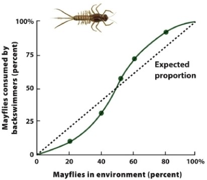 In experiments with the backswimmer (Notonecta glauca), a predatory insect, and two types of prey species, isopods (Asellus aquaticus) and mayflies (Coeon dipterum), predator preference seemed to be affected by the percentage of mayflies. What explains the results presented in the figure? What type of functional response is being demonstrated?  