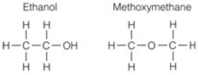 Select the BEST description for these two molecules.   A)  They are isomers because they have the same formula but different structures. B)  They are isomers because they have the same number of atoms. C)  They are not isomers because the oxygen is connected differently. D)  They are isomers because they have the same formula and both have all single bonds.