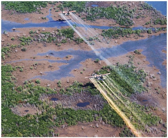 What was Agent Orange?   A)  A chemical agent deployed by the United States during the Vietnam War B)  A chemical agent deployed by the North Vietnamese during the Vietnam War C)  The name of the most successful U.S. mission during the Vietnam War D)  A nickname U.S. soldiers called President Nixon during the Vietnam War