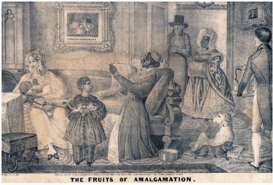 The lithograph  The Fruits of Amalgamation  portrays anxiety over what possible effect of emancipation?   A)  Free blacks taking white jobs B)  Interracial marriage C)  Revenge killing of white slave owners by free blacks D)  The economic collapse of the South