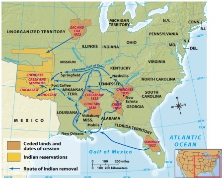 <strong>According to Map 11.3: Indian Removal and the Trail of Tears, which tribe was the last to cede its land?  </strong> A) Cherokee B) Creek C) Seminole D) Choctaw <div style=padding-top: 35px> 