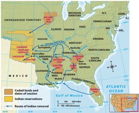 <strong>According to Map 11.3: Indian Removal and the Trail of Tears, in what direction did the Trail of Tears run?  </strong> A) From north to south B) From east to west C) From south to north D) From west to east <div style=padding-top: 35px> 