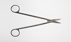 Figure 11-01A   -What is the name of the scissors pictured above?