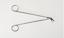 Figure 06-08 A   -Identify the instrument pictured. A)  Mayo-Noble scissors B)  Potts-Smith scissors C)  Metzenbaum scissors D)  Jorgensen scissors