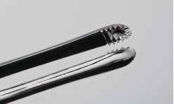 Figure 02-88 B   -This tip belongs to what type of forceps? A)  DeBakey B)  Russian C)  Adson D)  Ferris-Smith