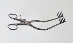 Figure 02-24 A   -Identify the retractor pictured above. A)  Weitlaner B)  Cerebellar C)  Beckman D)  Richardson