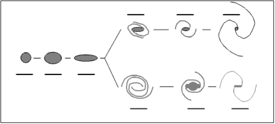 Label each galaxy in the tuning fork diagram below.Record your labels on the lines provided above or below the galaxy.  