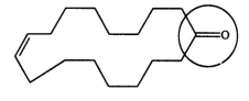 One source of a musky odor in perfumes is civetone, a compound extracted from the scent gland of the civet cat. Identify the functional group circled.   A)  aldehyde B)  ketone C)  alcohol D)  carboxylic acid E)  oxide