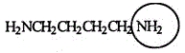 Putrescine is produced during the decay and protein breakdown of meats and is responsible for some of the odor found in them. Identify the functional group circled.   A)  aldehyde B)  ketone C)  amide D)  nitrile E)  amine