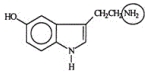 Serotonin transmits nerve impulses through the body. Identify the functional group circled.   A)  aldehyde B)  alcohol C)  amide D)  amine E)  nitride