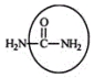 Urea carries waste nitrogen from the body in urine. Identify the functional group circled.   A)  aldehyde B)  alcohol C)  carboxyl D)  amine E)  amide